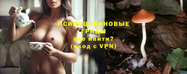 MDMA Premium VHQ Новозыбков