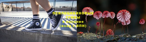 MDMA Premium VHQ Новозыбков
