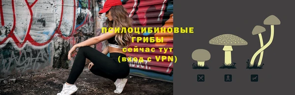 первитин Новодвинск