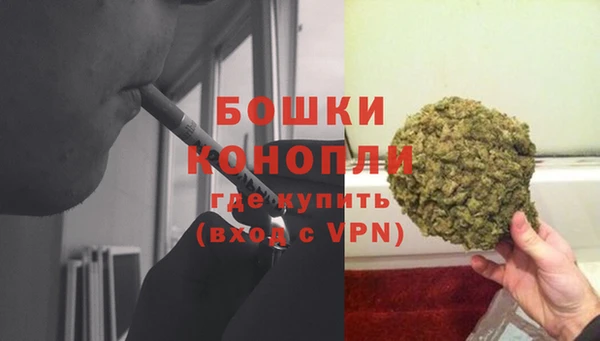 альфа пвп Новокубанск