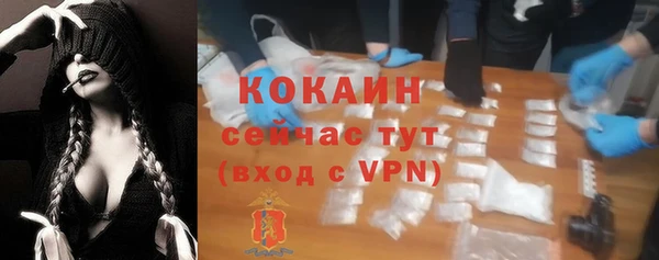 первитин Новодвинск