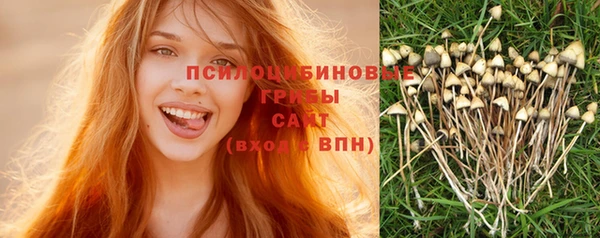 MDMA Premium VHQ Новозыбков