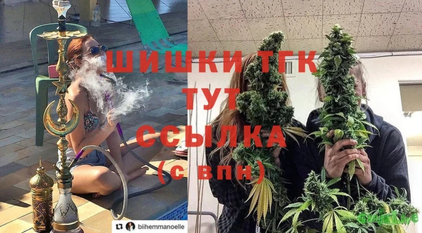 альфа пвп Новокубанск