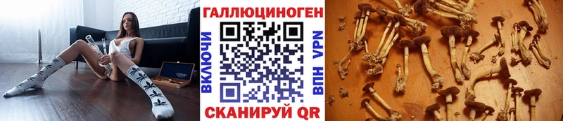 Псилоцибиновые грибы ЛСД Кунгур