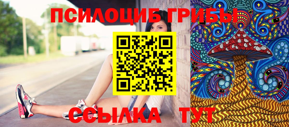 Кунгур  Галлюциногенные грибы мицелий  где купить наркоту  Вход с VPN  Псилоцибиновые грибы Psilocybine cubensis 